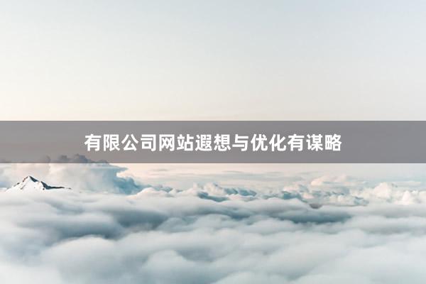 有限公司网站遐想与优化有谋略